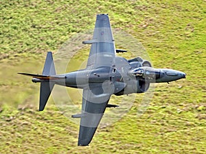Harrier GR9