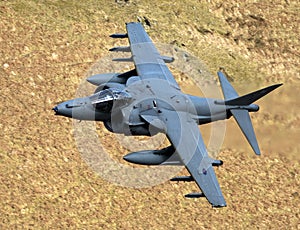 Harrier GR9 Jump-jet, RAF.