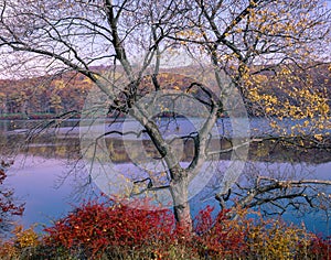Harriman State Park in autumn