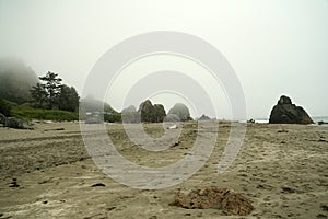 Harris Beach State Park, Oregon