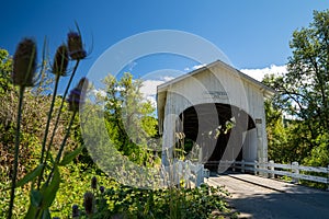 The Harris covered bridge in Philomath, Oregon, built in 1929