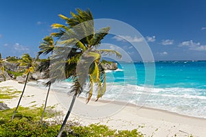 Harrismith Beach in Barbados