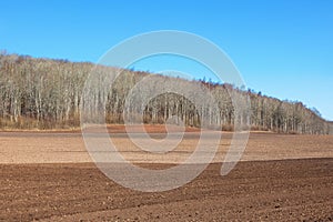 Harrowed field at spring photo