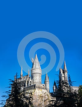 Harry Potter Hogsworth Castle Vertical