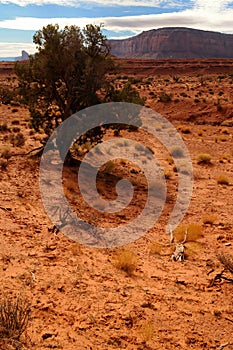 Harsh and Desolate Monument Valley Arizona USA Navajo Nation