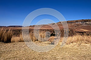 Harsh Dry Winter Landscape in Orange Free State, S