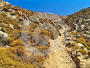 Harsh landscape, hot summer day.