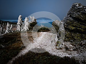 Harsh landscape on a mountain range of Jeseniky mountains with stunted trees covered with rime in late autumn