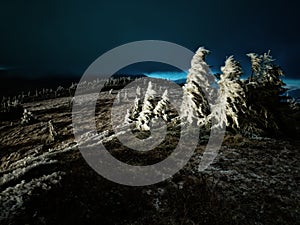 Harsh landscape on a mountain range of Jeseniky mountains with stunted trees covered with rime in late autumn