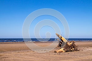 The harsh White sea. Cold summer day on Yagry island, Severodvinsk