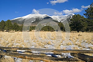 Hart Prairie and Mount Humphries