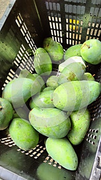 Harum Manis Manggo, sweet plums are only available in Perlis, Malaysia