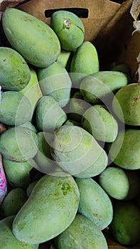 Harum Manis Manggo, sweet plums are only available in Perlis, Malaysia