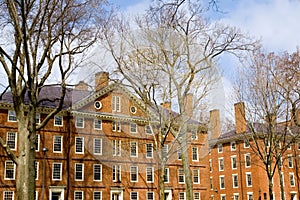Harvard Campus photo