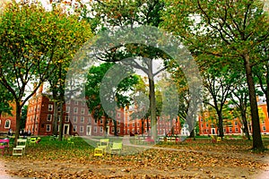 Harvard campus in the fall