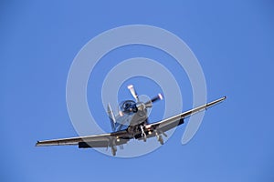 Harvard Plane in Flight