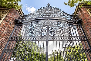 Harvard University