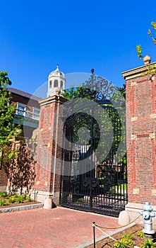 Harvard University in Cambridge Massachusetts photo