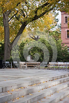 Harvard University campus