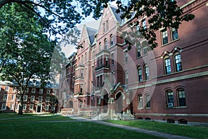 Harvard University photo