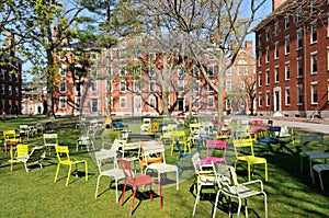 Harvard Yard photo