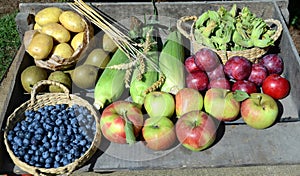 Harveest arrangement with apples, pears, haselnuts, plums, and more
