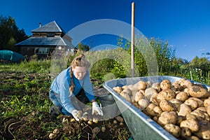 Harvest