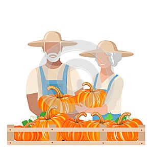 Elderly man and woman in work clothes and sunhat harvest pumpkins photo
