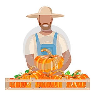 A man in work clothes and a sun hat harvests a pumpkin photo