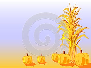 Harvest photo