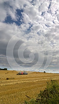 Harvest