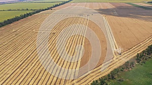 Harvest. Agricultural machinery on a wheat field