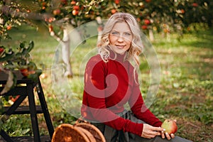 Harvest apples. Cute farmer woman with freshly harvested apples in basket. Agriculture and gardening