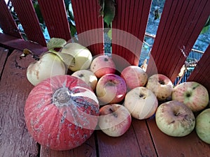 Harvest of apples and pumpkins on the old wooden flooring