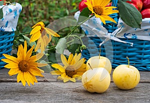 Harvest apples and yellow flowers on a table in a farm garden on a summer day photo