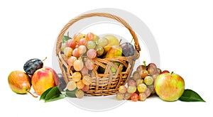 Harvest. assortment of fruit in a basket on white