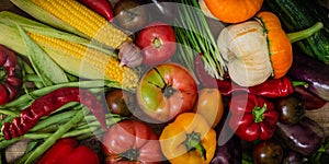 Harvest, Autumn. Panoramic collection of fresh healthy fruits and vegetables. Healthy eating background. Vegetables background