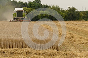 Harvest with combine harvester