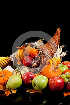 Harvest cornucopia