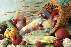 Harvest cornucopia