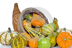 Harvest Cornucopia