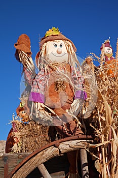 Harvest decoration