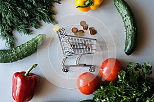 Grocery shopping cart filled with fruits and vegetables