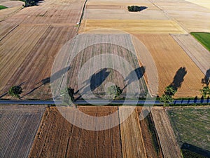 Harvest in Dolnoslaskie, Poland