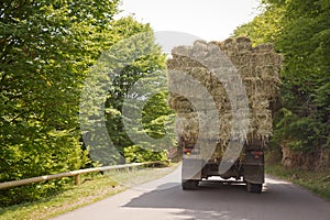 After the harvest. Early autumn. The truck is carrying hay. hay carrier at the interurban road . The truck carries rolls of hay