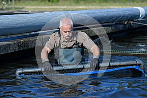 Harvest farmed fish photo