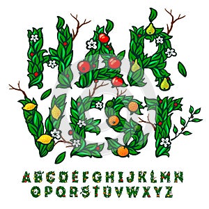 Harvest festival alphabet made with leaves and fruits