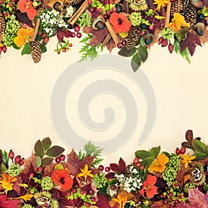 Harvest Festival Background Border for the Fall photo