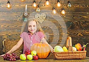 Harvest festival concept. Kid girl near basket full of fresh vegetables harvest rustic style. Child girl presenting