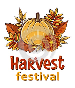 Harvest Festival hand drawn lettering text with autumn leaves and pumpkins